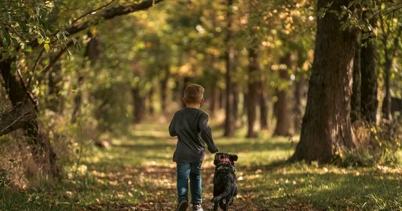 Que faire à Lisbonne en famille en automne : le programme qui tient debout